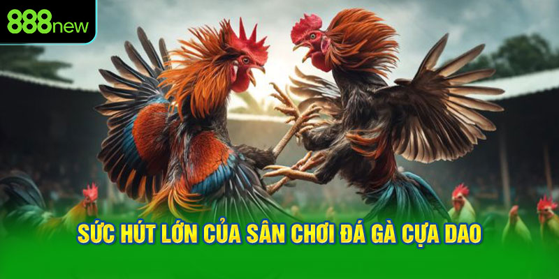Sức hút lớn của sân chơi đá gà cựa dao